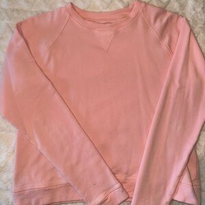 Albion Strawberry Neo Crop